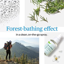 Load image into Gallery viewer, Ursa Major Hello Hinoki Natural Spray Deodorant | Aluminum-free, Vegan, Cruelty-Free, Non-Staining Deodorant for Men and Women | 1.7 ounces