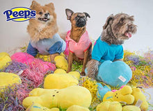 Load image into Gallery viewer, Peeps for Pets Easter Bunny Costume for Dogs, Puppies, & Cats, Size Medium (M) | Pet Costume Available in A Variety of Sizes, Please See Sizing Chart for More Details
