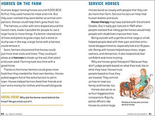 Load image into Gallery viewer, All About Horses: A Kid's Guide to Breeds, Care, Riding, and More!