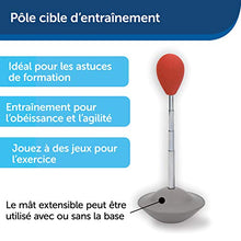 Load image into Gallery viewer, PetSafe Treat & Train Manners Minder Remote Reward Dog Trainer