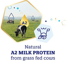 Load image into Gallery viewer, Enfamil A2 Premium Infant Formula, Non-GMO, Easy-to-Digest Premium Milk Proteins from Select A2 Cows, Milk-Based Powder with Iron and Brain Building DHA, Reusable Tub, 19.5 Oz (Pack of 4) Total 78 Oz