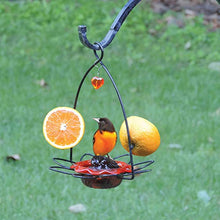 Load image into Gallery viewer, Birds Choice OFF Oriole Flower-Shaped Feeder w/Heart Ornament, Oriole Nectar & Jelly Feeder, 3oz Capacity, Orange