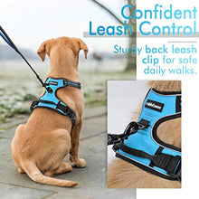 Load image into Gallery viewer, rabbitgoo Dog Harness, No-Pull Pet Harness with 2 Leash Clips, Adjustable Soft Padded Dog Vest, Reflective No-Choke Pet Oxford Vest with Easy Control Handle for Medium Dogs, Green, M