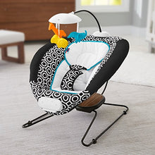 Load image into Gallery viewer, Fisher-Price Deluxe Bouncer