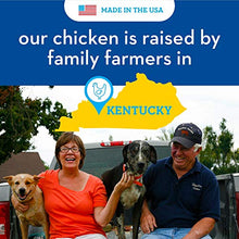 Load image into Gallery viewer, Spot Farms Chicken Jerky Healthy All Natural Dog Treats Human Grade For Hip And Joint 12 oz