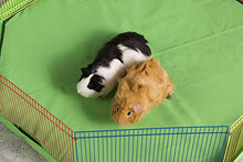 Load image into Gallery viewer, Prevue Pet Products Multi-Color Small Pet Playpen 40090,13-Inch