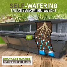 Load image into Gallery viewer, Vegepod - Raised Garden Bed - Self Watering Container Garden Kit with Protective Cover, Easily Elevated to Waist Height, 10 Years Warranty (Large)