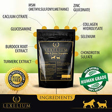 Load image into Gallery viewer, Lexelium Joint Support for Dogs and Cats | MSM + Glucosamine + Chondroitin + Turmeric | Helps with Arthritis and Fortifies Joints | 100% Natural Pet Supplement | 200 Grams