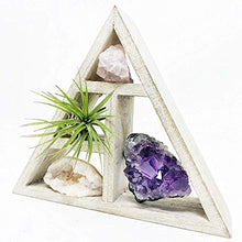 Load image into Gallery viewer, Tillandsia Air Plant and Purple Amethyst Crystal Healing Cluster/Terrarium Fairy Garden Stone + Kraft Gift Box