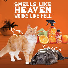 Load image into Gallery viewer, ANGRY ORANGE Pet Odor Eliminator for Home - 8oz Dog & Cat Urine Smell Remover - Citrus Concentrate - Makes a Gallon (128 oz)