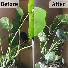 Load image into Gallery viewer, 10pack Garden Plant Support Stake 10" Wide x 16" High Half Round Metal Garden Plant Support Ring Border Support, Plant Support Ring Cage for RoseFlowers Vine Tomato with 20pack Plant Clips &Plant Ties