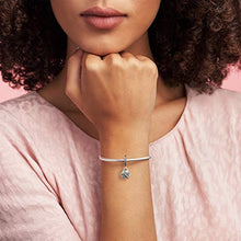 Load image into Gallery viewer, Pandora Jewelry Starfish and Sea Shell Dangle Cubic Zirconia Charm in Sterling Silver