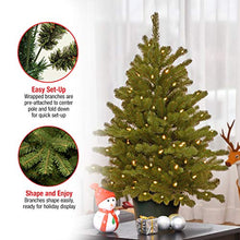 Load image into Gallery viewer, National Tree Company 'Feel Real' Artificial Christmas Tree For Entrances| Includes White Lights and Stand | Hampton Spruce - 3 ft