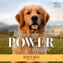 Load image into Gallery viewer, Burt's Bees for Dogs Multipurpose Grooming Wipes | Puppy and Dog Wipes for All Purpose Cleaning & Grooming | Cruelty Free, Sulfate, & Paraben Free, pH Balanced for Dogs - 50 Ct Pet Wipes