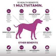Load image into Gallery viewer, PetHonesty 10 in 1 Dog Multivitamin - Essential Dog Vitamins with Glucosamine Chondroitin, Probiotics and Omega Fish Oil for Dogs Overall Health - Vitamins for Joint Supplement Heart - (Peanut Butter)