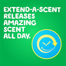 Load image into Gallery viewer, Gain Fireworks Laundry Scent Booster Beads for Washer, Original Scent, 20.1 Oz