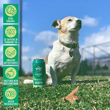 Load image into Gallery viewer, Drink Weird - Weird Tea, Best Sellers Variety Pack, Certified Organic Functional Iced Tea with 80mg of Natural Caffeine, 12 Pack of 16oz Cans