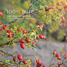 Load image into Gallery viewer, NOW Essential Oils, Rose Hip Seed Oil, 100% Pure, Nourishing and Renewing, For Facial Care, Vegan, 1-Ounce
