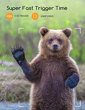 Load image into Gallery viewer, 【2 Pack 】 Campark Mini Trail Camera 16MP 1080P HD Game Camera Waterproof Wildlife Scouting Hunting Cam with 120° Wide Angle Lens and Night Vision 2.0” LCD IR LEDs