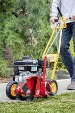 Load image into Gallery viewer, McLane 101-5.5GT-7Gas Powered Lawn Edger, 5.50 Gross Torque/3.5 HP B&S Engine 7" Wheels
