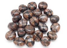 Load image into Gallery viewer, Fundamental Rockhound Products: Chiastolite Tumbled Stone Gemstone Crystal with Carrying Pouch, info Card, Stone Certification (Large)