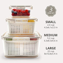 Load image into Gallery viewer, OCOSOLO Vegetable Storage Containers for Fridge, Produce Saver Containers Refrigerator Organizer Bins,BPA-Free Plastic Produce Keepers with Lid & Colander for Fruits, Salad, Lettuce, Berry (3 Pack)