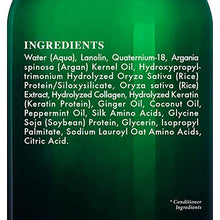 Load image into Gallery viewer, BOTANIC HEARTH Peppermint Oil Shampoo and Conditioner Set - Hair Blooming Formula with Keratin for Thinning Hair - Fights Hair Loss, Promotes Hair Growth-Sulfate Free for Men and Women - 16 fl oz x 2