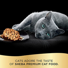 Load image into Gallery viewer, SHEBA PERFECT PORTIONS Cuts in Gravy Adult Wet Cat Food Trays (24 Count, 48 Servings), Roasted Chicken, Gourmet Salmon and Tender Turkey Entrée, Easy Peel Twin-Pack Trays