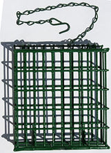 Load image into Gallery viewer, C&S Wild Bird EZ Fill Suet Basket, Green