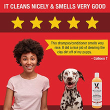 Load image into Gallery viewer, Warren London 2in1 Pet Shampoo and Conditioner for Dogs, Puppys, & Cats | Best Dog Shampoo and Conditioner for Dry Itchy Skin | Dandruff Shampoo for Dogs | Made in USA | 17oz