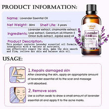 Load image into Gallery viewer, Taykoo Scar Repair Skin Essential Oil Lavender Essence Skin Care Natural Pure Remove Ance Burn Strentch Marks Scar Removal