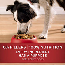 Load image into Gallery viewer, Purina ONE Natural Dry Dog Food, SmartBlend Lamb & Rice Formula - 31.1 lb. Bag