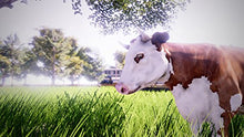 Load image into Gallery viewer, Real Farm - Xbox One