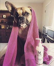 Load image into Gallery viewer, Warren London Hydrating Butter Leave-in Conditioner for Dogs Skin and Coat - Guava & Mango - 8oz
