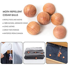 Load image into Gallery viewer, allhom dust proof garment bags - set of 6 pcs 40 inch hanging clothing storage bags and cedar balls,for jacket, shirt, sweater, suit