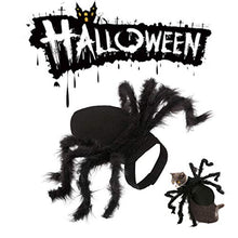 Load image into Gallery viewer, N3 2020 Updated Version Product Halloween Spider Pet Costume,Halloween Horror Simulation Plush Big Spider Wings Dress Up Funny Party for Dogs or Cats (M)