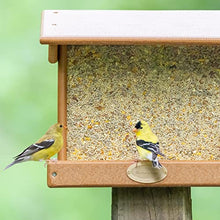 Load image into Gallery viewer, Morning Song 11959 Clean & Free Shell Free Wild Food Premium No Mess Bird Seed for Outside Feeders, 10 lb