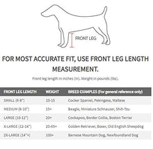Load image into Gallery viewer, FouFou Dog 62558 Bodyguard Protective All-Weather Dog Pants, Small, Gray