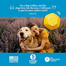 Load image into Gallery viewer, Project Hive Pet Company - Hive Ball - Dog Balls - Toy for Large and Medium Breeds - Great for Fetch - Floats in Water - Durable and Tough for Aggressive chewers - Made in The USA