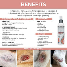 Load image into Gallery viewer, Veterinary Formula Clinical Care Hot Spot & Itch Relief Medicated Spray 8 oz, White, (GI01340)
