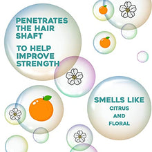 Load image into Gallery viewer, OGX Renewing and Cold-Pressed Argan Oil of Morocco Hydrating Shampoo, to Help Moisturize, Soften & Strengthen Hair, Paraben & Sulfate Free Surfactants, Floral, 52 Oz, Pack of 4