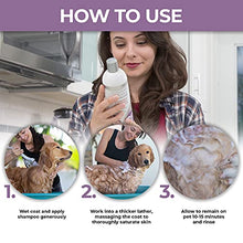 Load image into Gallery viewer, Veterinary Formula Clinical Care Antiparasitic & Antiseborrheic Medicated Dog Shampoo, 16 oz – Paraben, Dye, Soap Free – Hydrating and Antifungal Shampoo for Dogs, White