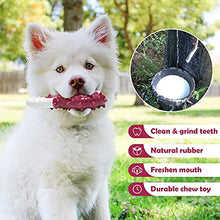Load image into Gallery viewer, Strong Rubber Dental Toy for Your Dog Chewing, Nylon and Rubber Dog Bone Toy Reduces Boredom, Dog Teething Trainning Toys ,Chew Toys for LargeMediumSmall Puppies (Steak), 2.88inch-4.88inch