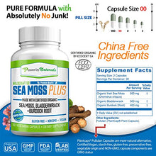 Load image into Gallery viewer, Power By Naturals Certified Organic Sea Moss Plus Supplements with Wildcrafted Irish Sea Moss, Bladderwrack, and Burdock Root, Pure Sea Moss Supplement, Vegan, No Fillers, 60 SeaMoss Powder Capsules