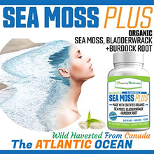 Load image into Gallery viewer, Power By Naturals Certified Organic Sea Moss Plus Supplements with Wildcrafted Irish Sea Moss, Bladderwrack, and Burdock Root, Pure Sea Moss Supplement, Vegan, No Fillers, 60 SeaMoss Powder Capsules