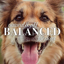 Load image into Gallery viewer, Burt's Bees for Pets for Dogs All-Natural Paw & Nose Lotion with Rosemary & Olive Oil | For All Dogs and Puppies, 4oz | Best Treatment for All Dogs and Puppies With Dry Nose and Paws