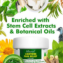 Load image into Gallery viewer, Ebanel Pain Relief Cream, 2.28 Oz Arnica Menthol Arthritis Pain Relief Muscle Rub with MSM, Emu Oil, Hemp Oil, Anti Inflammatory Cream with Camphor, Boswellia for Back Pain, Neck Shoulder Joint Pain