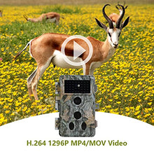 Load image into Gallery viewer, 2-Pack Game Trail Deer Cameras No Glow 90ft Night Vision 24MP Picture 1296P H.264 MP4 Video Motion Activated Waterproof 0.1S Trigger Speed Photo & Video Model for Hunting Wildlife or Home Surveillance