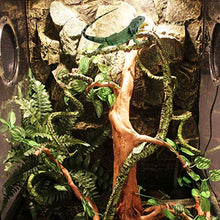 Load image into Gallery viewer, kathson Reptile Vines Plants Flexible Bendable Jungle Climbing Vine Terrarium Plastic Plant Leaves Pet Tank Habitat Decor for Bearded Dragons Lizards Geckos Snakes Hermit Crab Frogs and More Reptiles