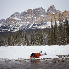 Load image into Gallery viewer, LifeStraw Personal Water Filter for Hiking, Camping, Travel, and Emergency Preparedness